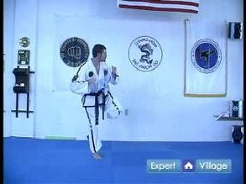 Beginner Tae Kwon Do Techniques : Tae Kwon Do Back Piercing Kick