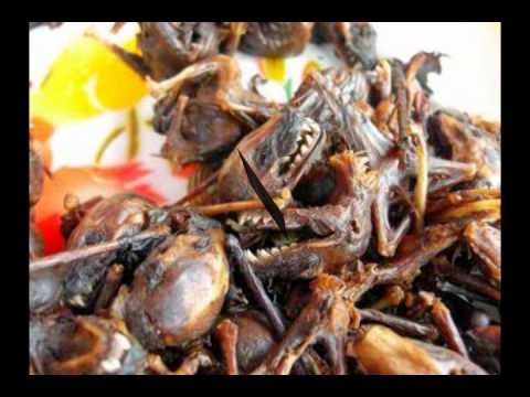 GROSS OUT! Weird Food Around The World