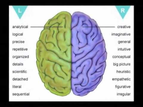 Left Brain Vs Right Brain Education