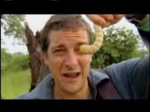 Man vs. Wild – Eating Giant Larva