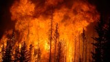 Top 25 Furious Wildfires
