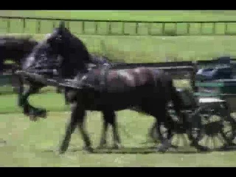 Untamed and Uncut: Horse kicks rider’s face